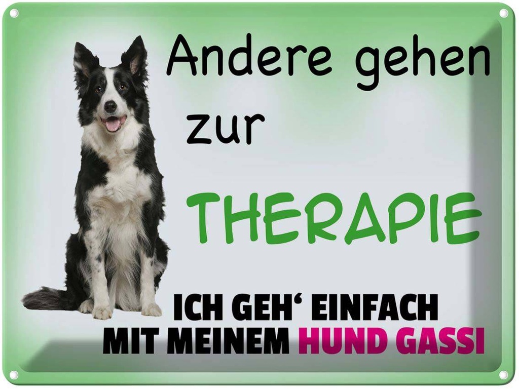 [LA-1789851] Blechschild 30x40 cm ich geh' mit meinem Hund Gassi
