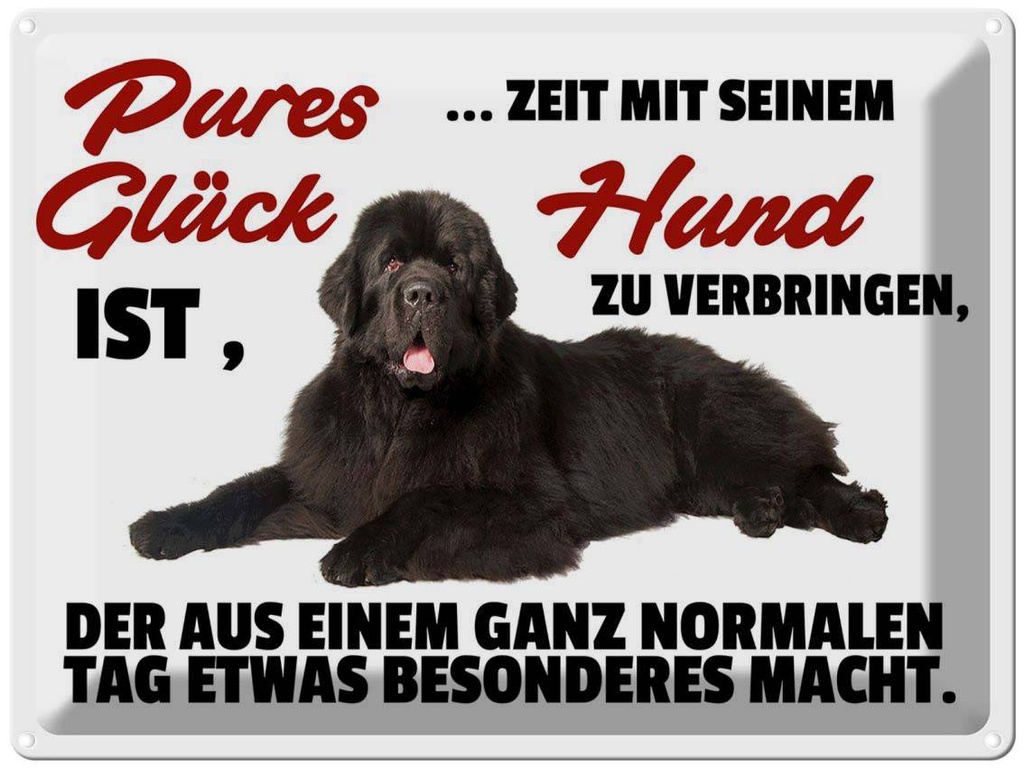 [LA-1789853] Blechschild 30x40 cm pures Glück ist Zeit mit Hund