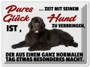 Blechschild 30x40 cm pures Glück ist Zeit mit Hund