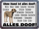 Blechschild 30x40 cm ohne Hund ist alles doof