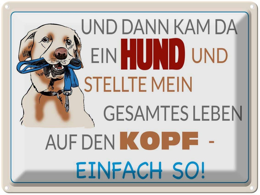 [LA-1789856] Blechschild 30x40 cm und dann kam da ein Hund Spruch Zitat