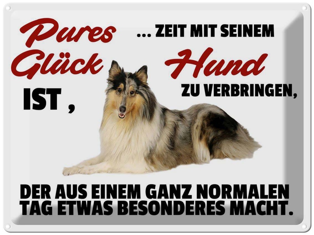 [LA-1789866] Blechschild 30x40 cm Pures Glück Zeit mit seinem Hund