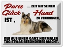 Blechschild 30x40 cm Pures Glück Zeit mit seinem Hund