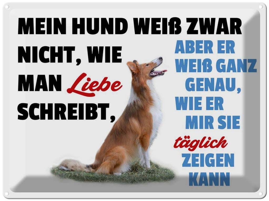 [LA-1789867] Blechschild 30x40 cm mein Hund weiß zwar Hundeliebe