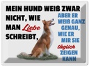 Blechschild 30x40 cm mein Hund weiß zwar Hundeliebe