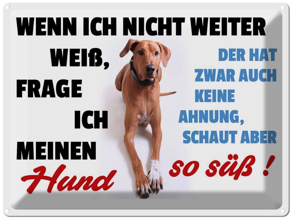[LA-1789868] Blechschild 30x40 cm wenn ich nicht weiter weiß Hund Spruch Zitat