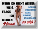 Blechschild 30x40 cm wenn ich nicht weiter weiß Hund Spruch Zitat