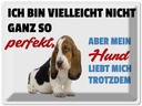 Blechschild 30x40 cm mein Hund liebt mich trotzdem