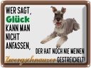 Blechschild 30x40 cm Glück Zwergschnauzer Hund