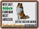 Blechschild 30x40 cm Glück Shetland Sheepdog Hund
