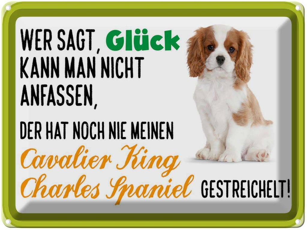 Blechschild 30x40 cm Cavalier King Charles Spaniel