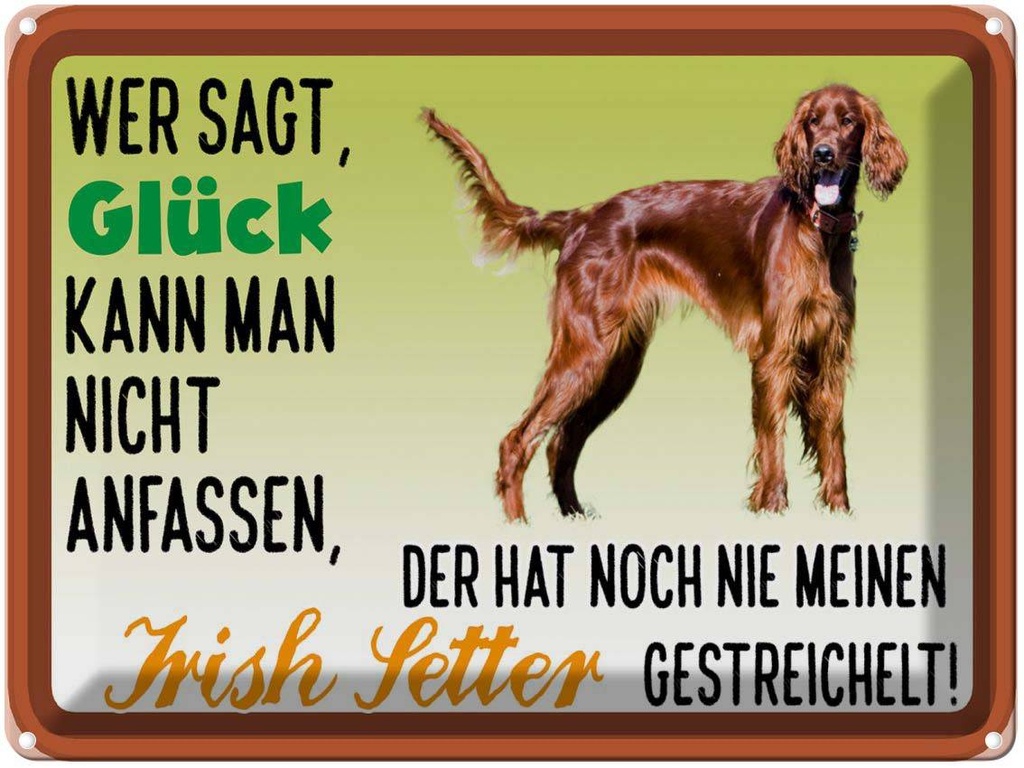[LA-1789895] Blechschild 30x40 cm Glück Irish Setter Hund