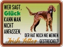 Blechschild 30x40 cm Glück Irish Setter Hund