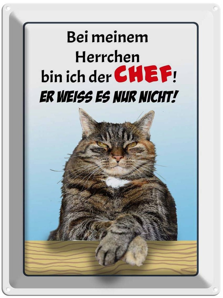 [LA-1789918] Blechschild 40x30 cm Katze bei meinem Herrchen Chef