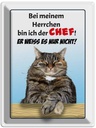 Blechschild 40x30 cm Katze bei meinem Herrchen Chef