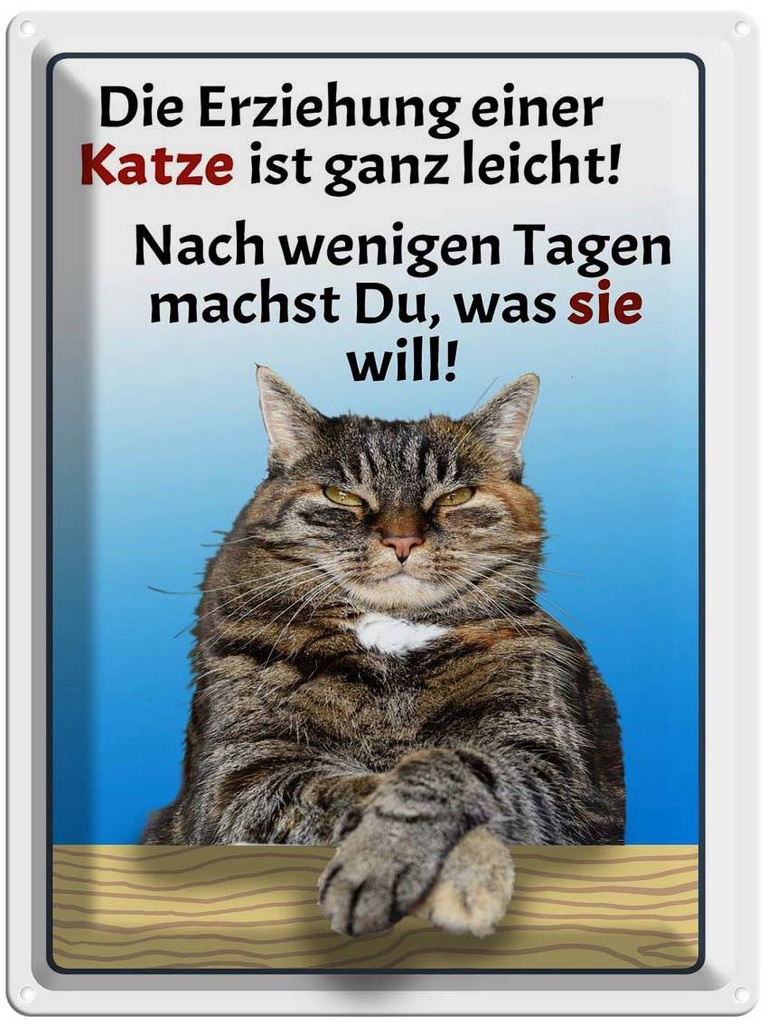 [LA-1789919] Blechschild 40x30 cm die Erziehung einer Katze leicht