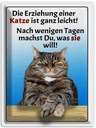 Blechschild 40x30 cm die Erziehung einer Katze leicht