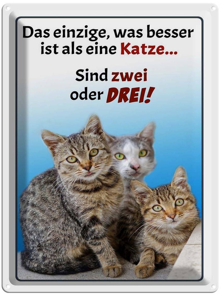 [LA-1789920] Blechschild 40x30 cm einzige was besser ist als Katze