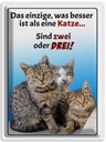 Blechschild 40x30 cm einzige was besser ist als Katze