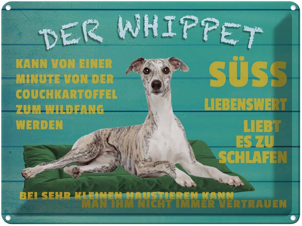 [LA-1789942] Blechschild 30x40 cm der Whippet Hund süss lebenswert