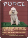 Blechschild 40x30 cm Pudel hochintelligent lieb Hund