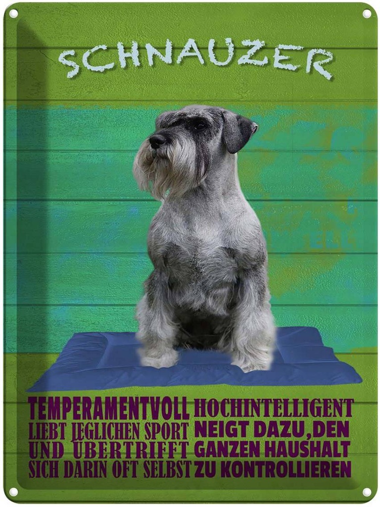 [LA-1789946] Blechschild 40x30 cm Schnauzer Hund temperamentvoll