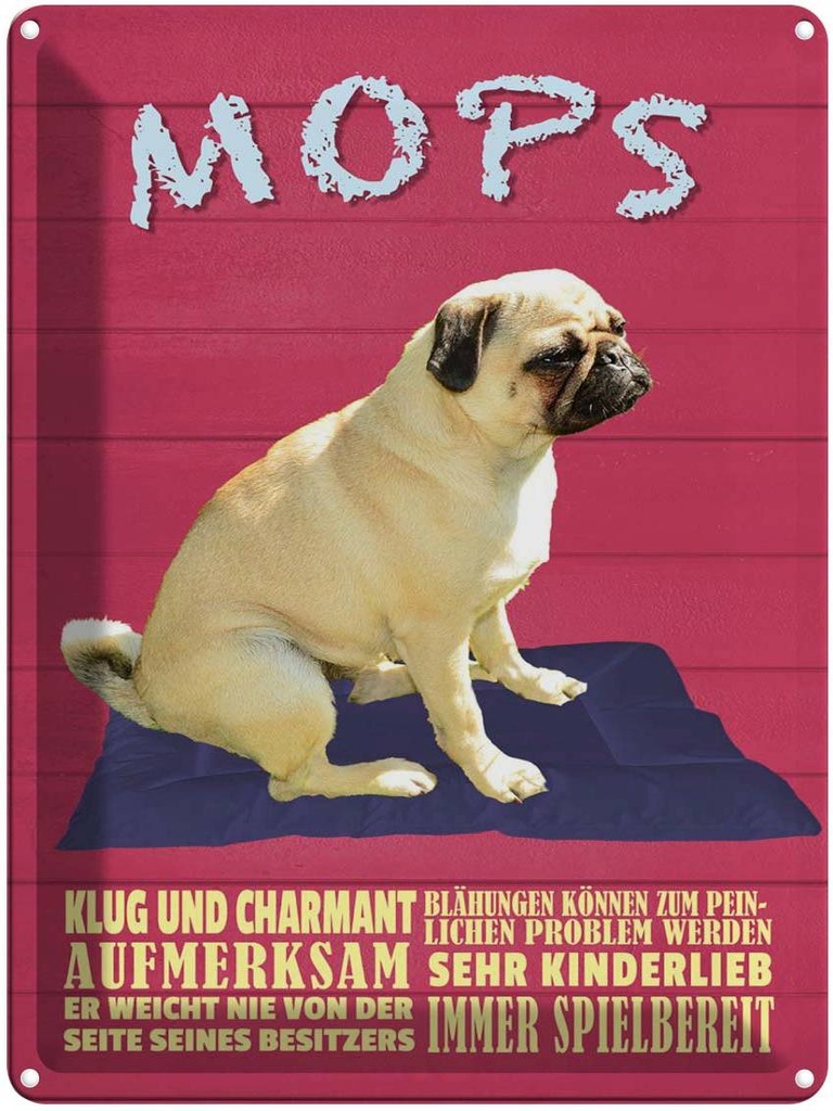 [LA-1789948] Blechschild 40x30 cm Mops Hund klug und charmant