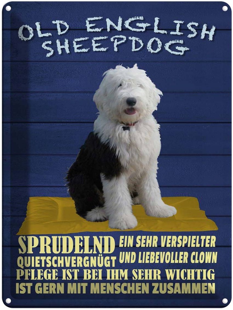 [LA-1789949] Blechschild 40x30 cm Old English Sheepdog Hund