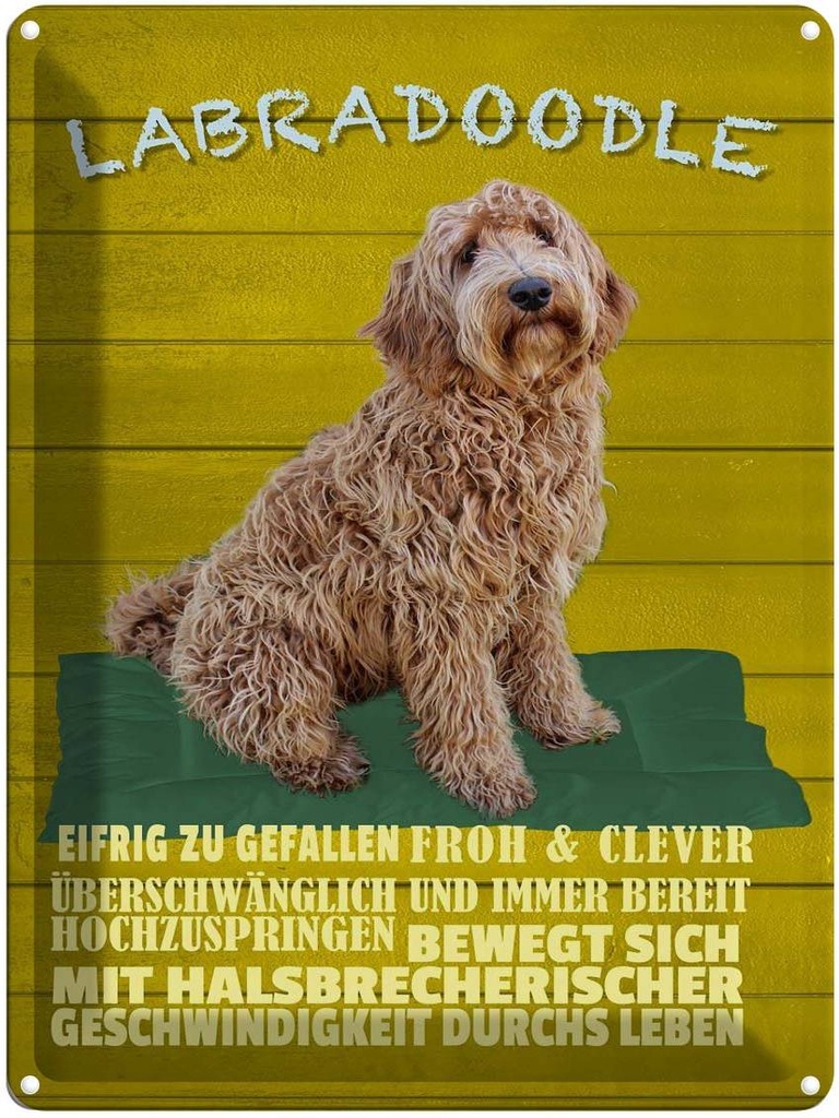 [LA-1789950] Blechschild 40x30 cm Labradoodle Hund froh und clever