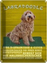 Blechschild 40x30 cm Labradoodle Hund froh und clever