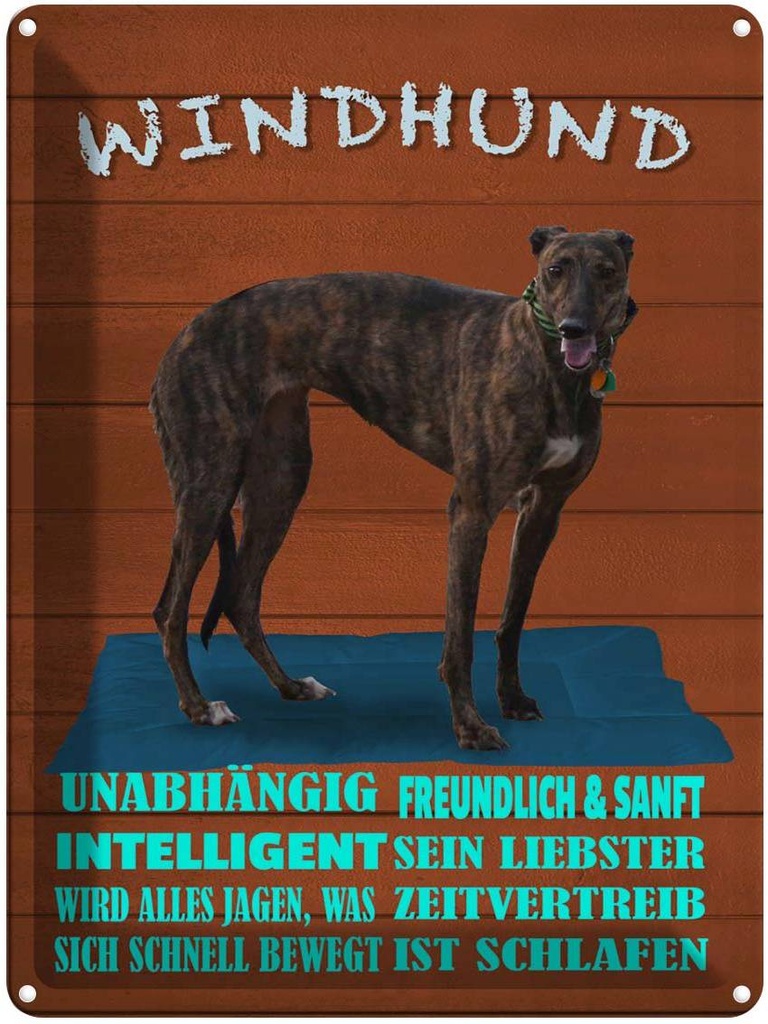 [LA-1789952] Blechschild 40x30 cm Windhund Hund intelligent sanft Spruch Zitat