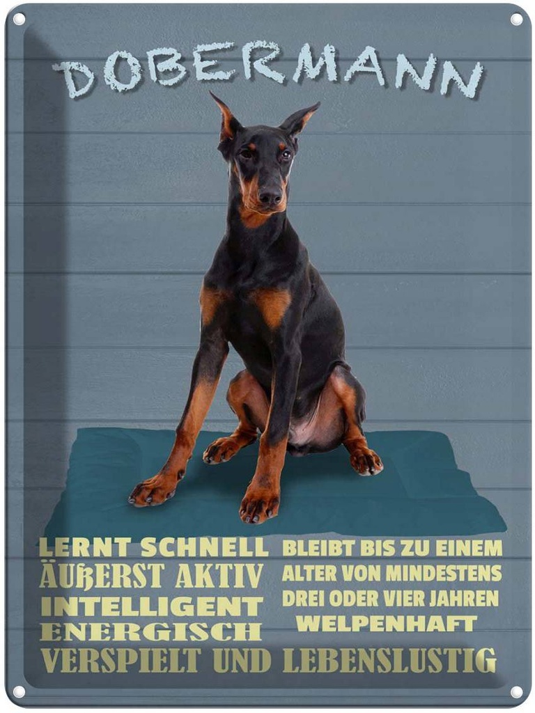 [LA-1789957] Blechschild 40x30 cm Dobermann lernt schnell Hund