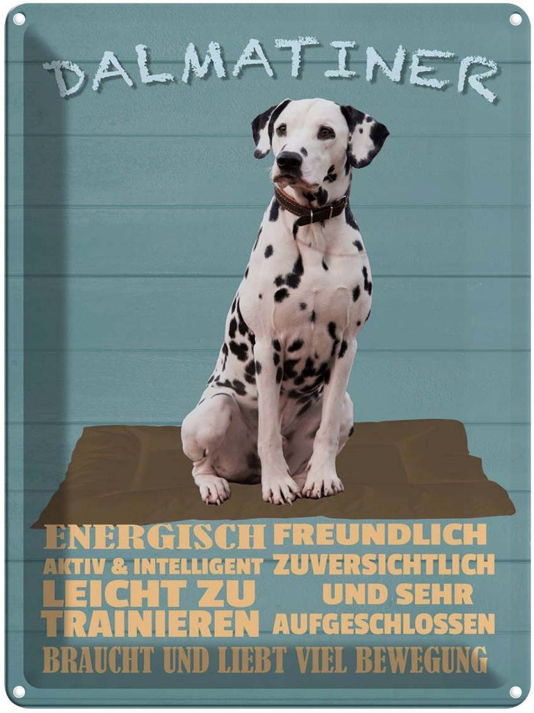[LA-1789958] Blechschild 40x30 cm Dalmatiner Hund energisch aktiv