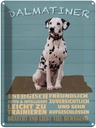 Blechschild 40x30 cm Dalmatiner Hund energisch aktiv