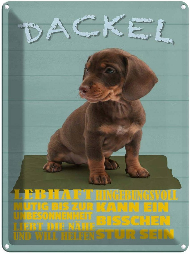 [LA-1789959] Blechschild 40x30 cm Dackel Hund lebhaft mutig stur
