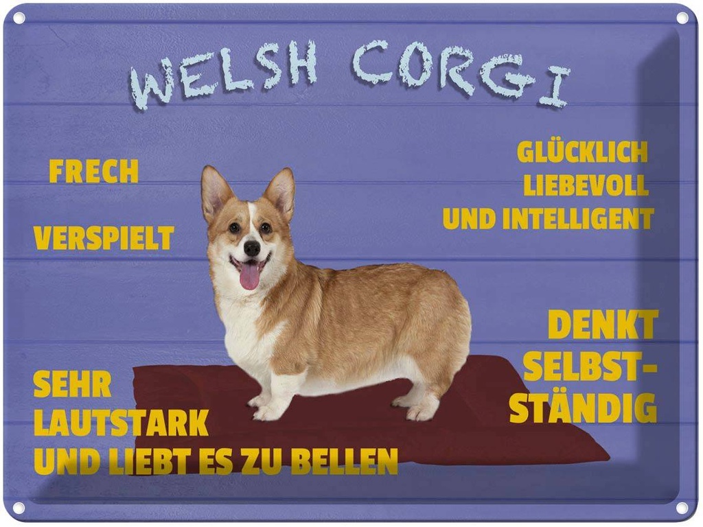 [LA-1789960] Blechschild 30x40 cm Welsh Corgi Hund frech verspielt