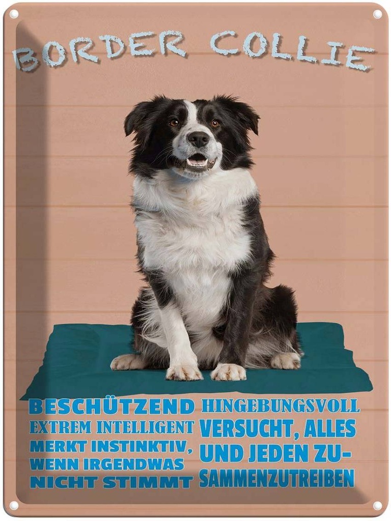 [LA-1789961] Blechschild 40x30 cm Border Collie Hund intelligent