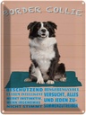 Blechschild 40x30 cm Border Collie Hund intelligent