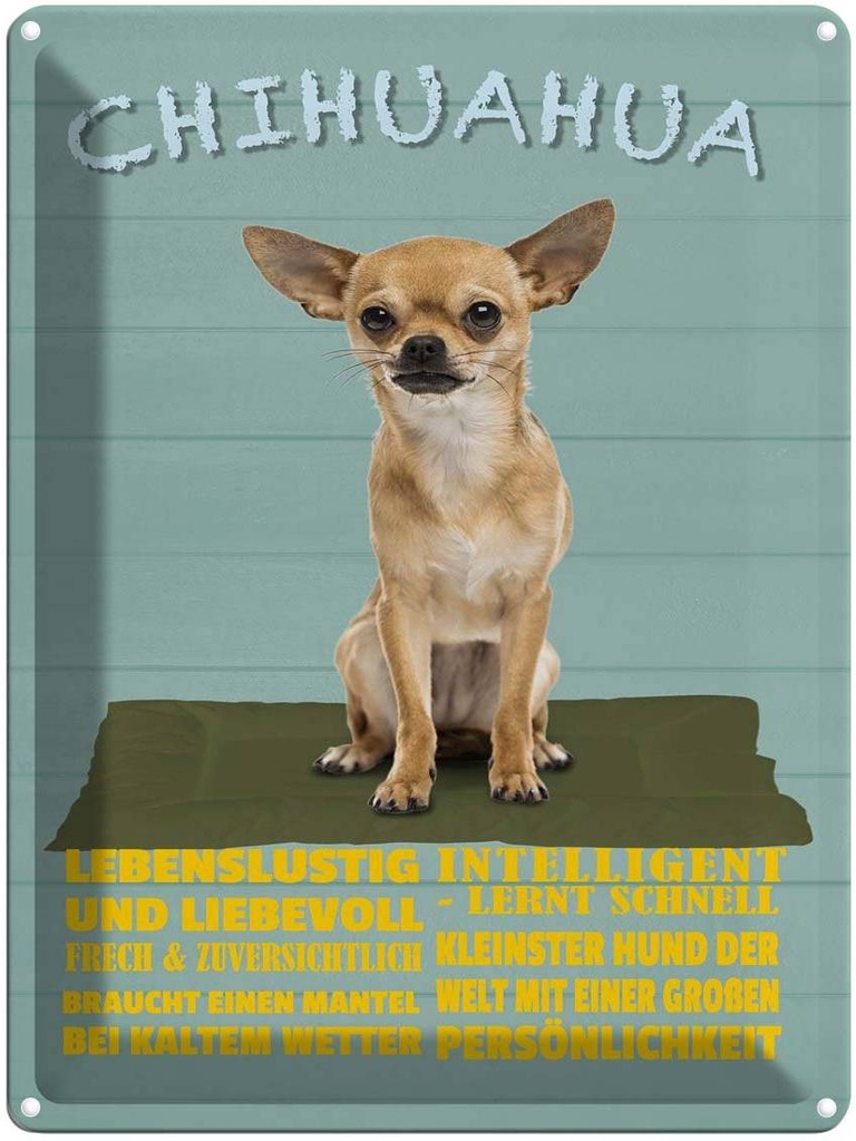 [LA-1789964] Blechschild 40x30 cm Chihuahua Hund lebenslustig Witz Humor Lustig Spaß
