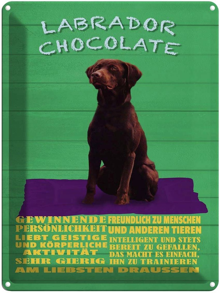 [LA-1789965] Blechschild 40x30 cm Labrador Chocolate Hund