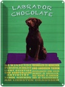 Blechschild 40x30 cm Labrador Chocolate Hund