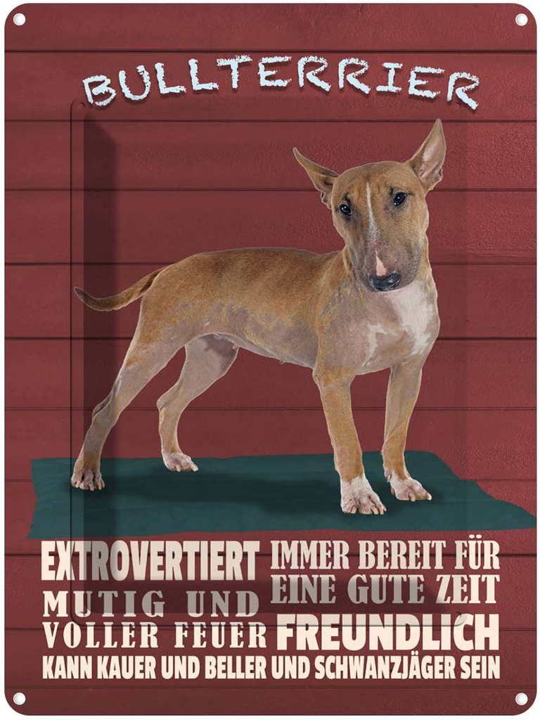 [LA-1789966] Blechschild 40x30 cm Bullterrier Hund immer bereit