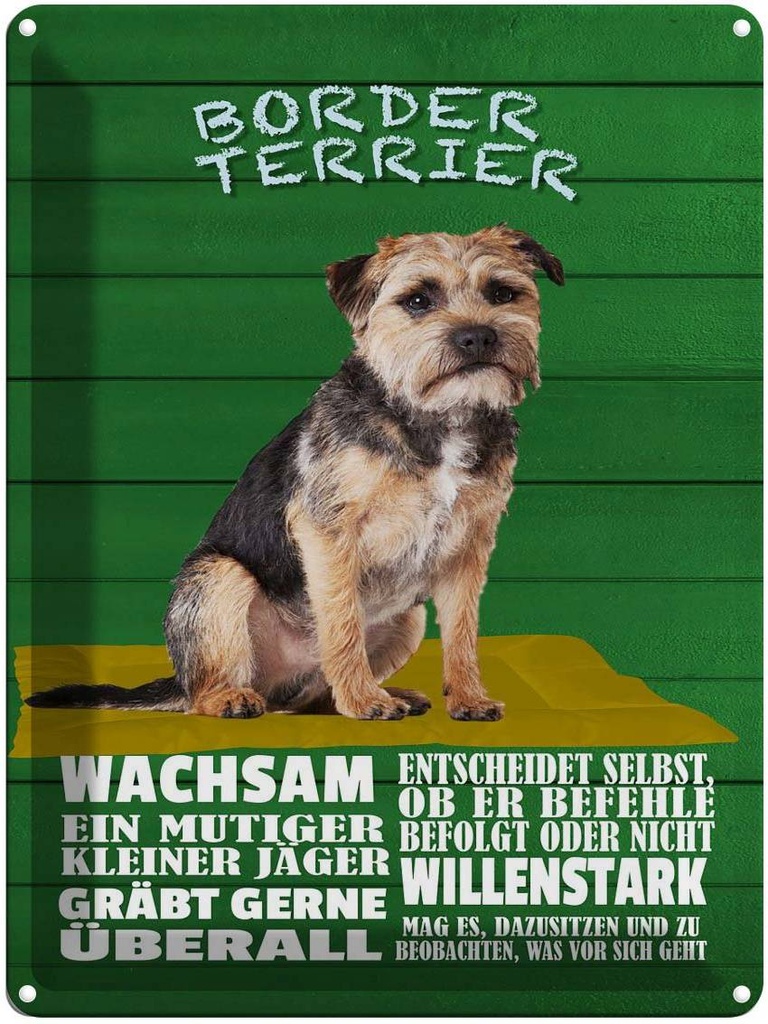 [LA-1789969] Blechschild 40x30 cm Border Terrier Hund wachsam
