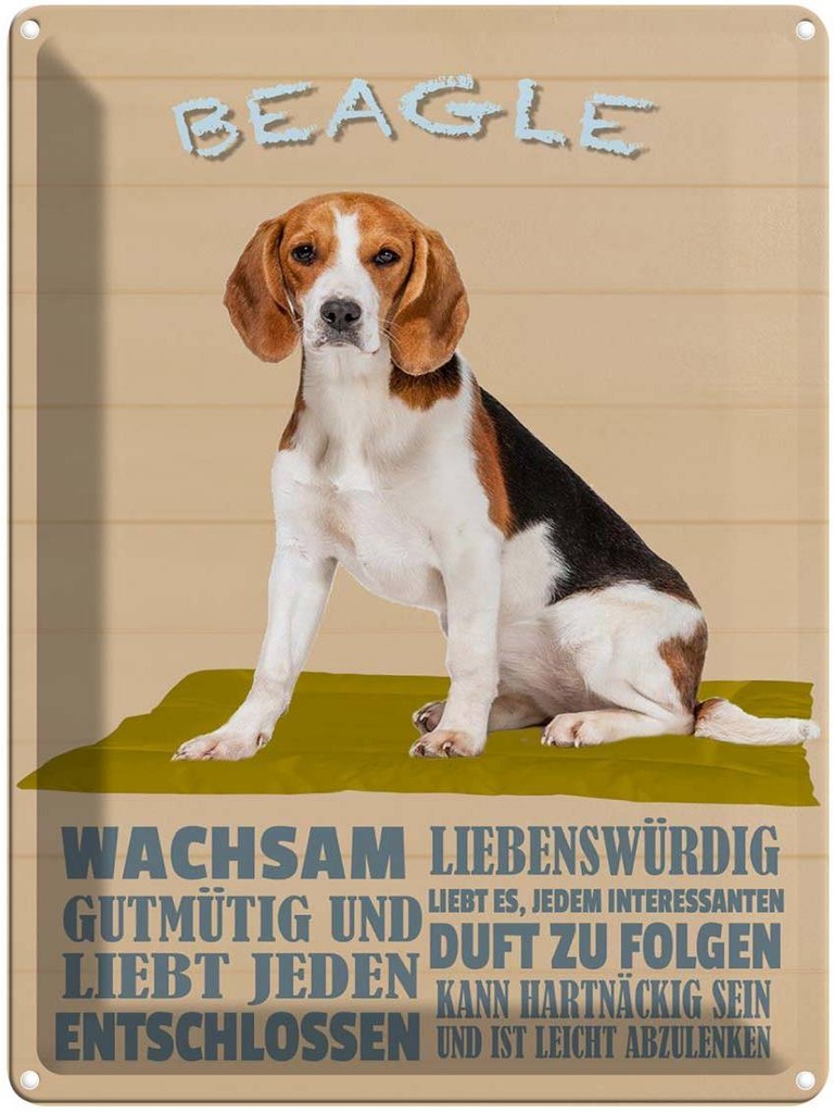 [LA-1789970] Blechschild 40x30 cm Beagle Hund gutmütig liebt jeden