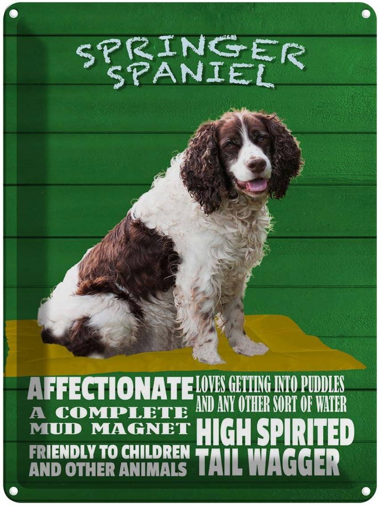Blechschild 40x30 cm Springer Spaniel Hund friendly