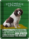 Blechschild 40x30 cm Springer Spaniel Hund friendly