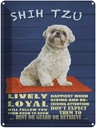 Blechschild 40x30 cm Shih Tzu Hund lively loyal