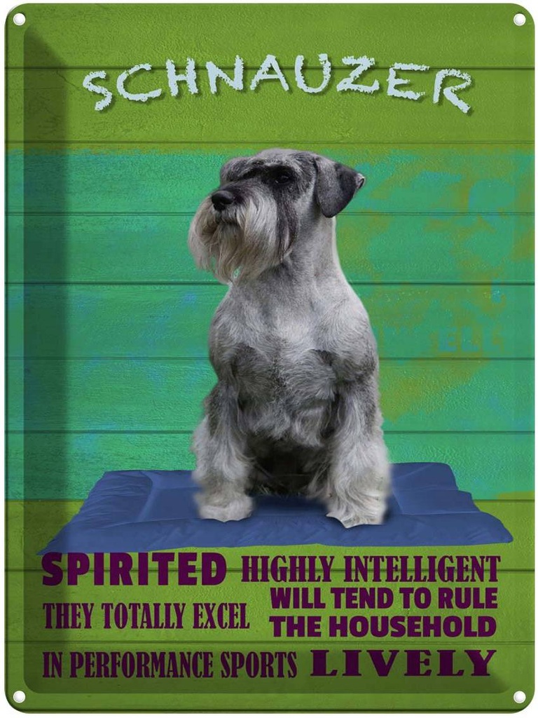 Blechschild 40x30 cm Schnauzer Hund highly inelligent