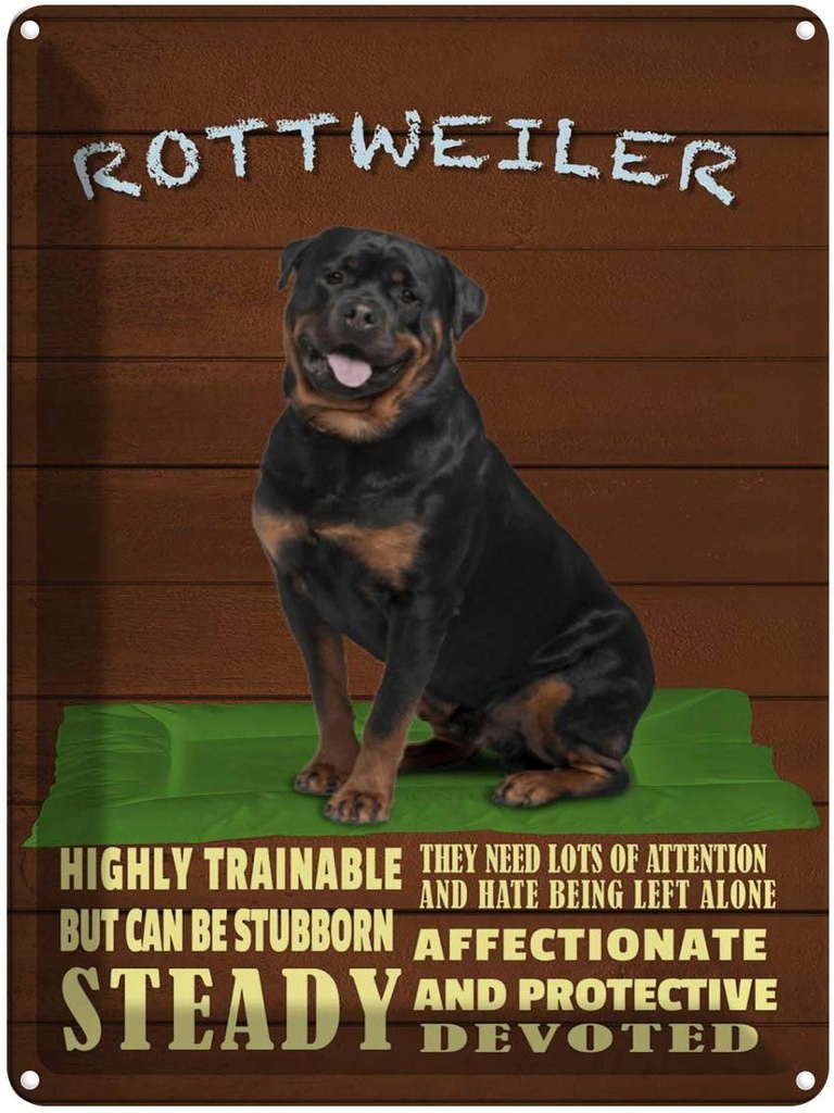 Blechschild 40x30 cm Rottweiler Hund highly trainable