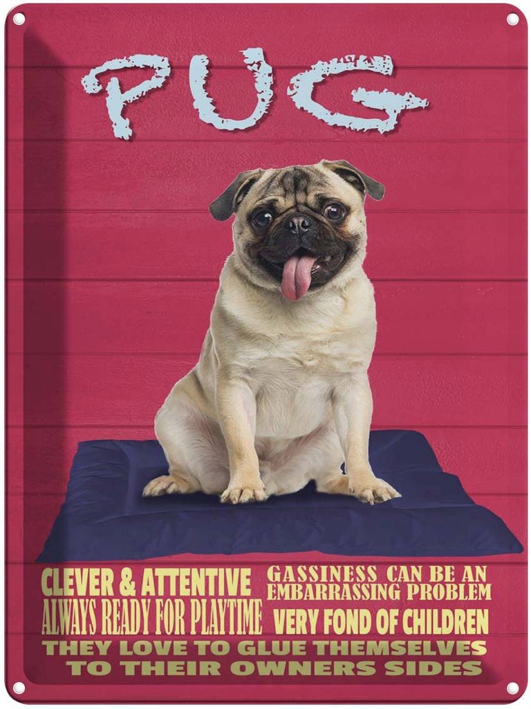 Blechschild 40x30 cm Pug Hund clever attentive